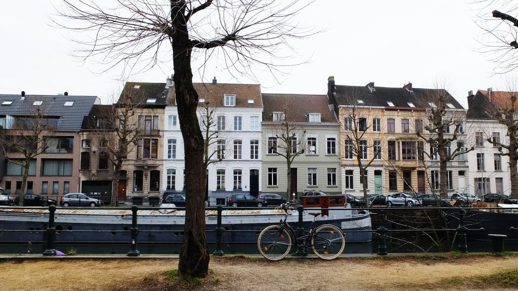1,2,Trois...Le Roi Villa Gent Kültér fotó